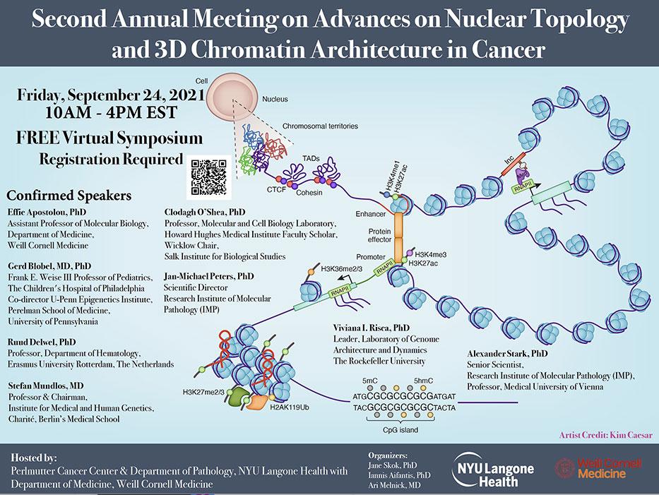 Second Annual Meeting on Advances in Nuclear Topology and 3D Chromatin Architecture in Cancer