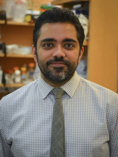 Dr. Rohit Chandwani