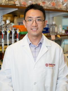 Dr. Guo Receives Prestigious NIH Director's New Innovator Award: Gut Microbes and Human Health | Weill Department of Medicine