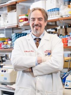Dr. Ari Melnick