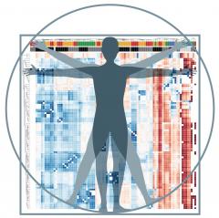 Heat map visualization of gene expression signatures of human innate lymphoid cells throughout the body